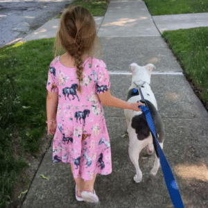 girl walking with dog on sidewalk