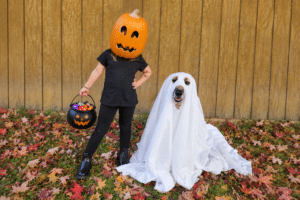 Girl with a pumpkin mask with a candy bucket standing next to a dog dressed as a ghost
